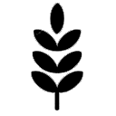 https://www.assingele.com.br